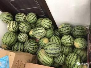 茂名网红吃瓜视频,揭秘当地美食与趣事