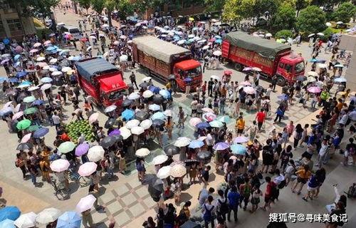 各大高校吃瓜网盘,揭秘各大高校吃瓜网盘背后的秘密