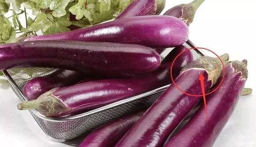 茄子吃瓜网请验证后访问,揭秘网络世界的趣味与真相